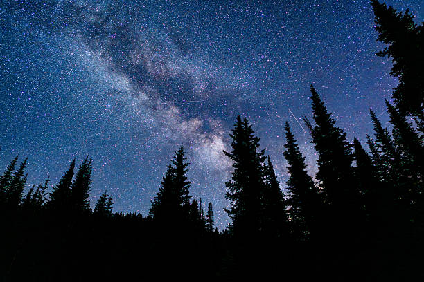 A brilliant view of the Milky Way galaxy arcs across the night sky above a dense stand of silhouetted evergreen trees in a high-altitude alpine forest. Captured on a clear summer night in the Colorado Rockies, the image showcases the natural beauty and vastness of the universe, untouched by light pollution.
