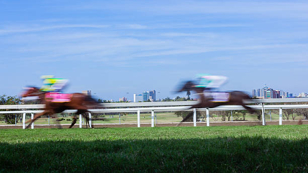 Dramatic, low level view of a flat racing training track in Newmarket, UK. The soft surface has been recently ploughed after race horse training earlier in the day.