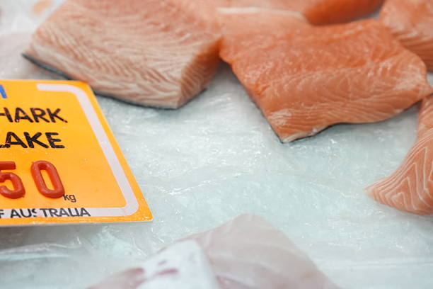 Fresh Tasmanian Ocean Trout Fillets on Ice Display