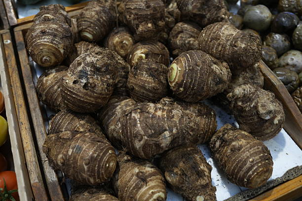 Freshly harvested taro roots with soil texture, arranged neatly in a wooden box at a local market. Traditional Asian root vegetable.