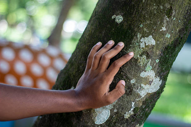 istock A baby put his hand on the tree, and the background is blurred 2228336807
