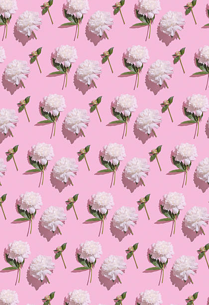 Colorful floral pattern with peonies on vibrant pink background perfect for spring themes or design projects