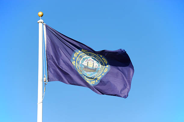 New Hampshire state flag waving under blue sky