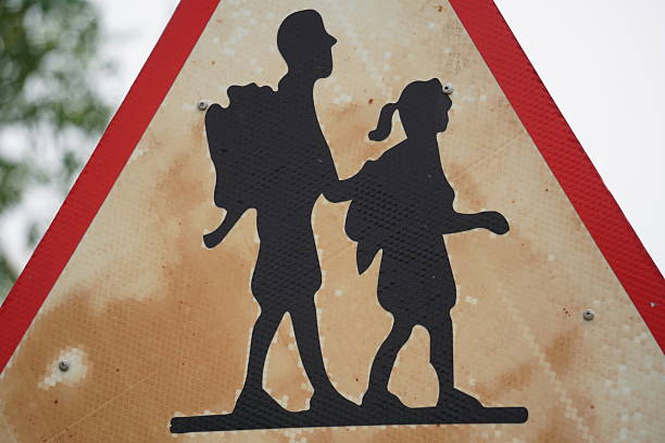 An informative road signage indicating school crossing