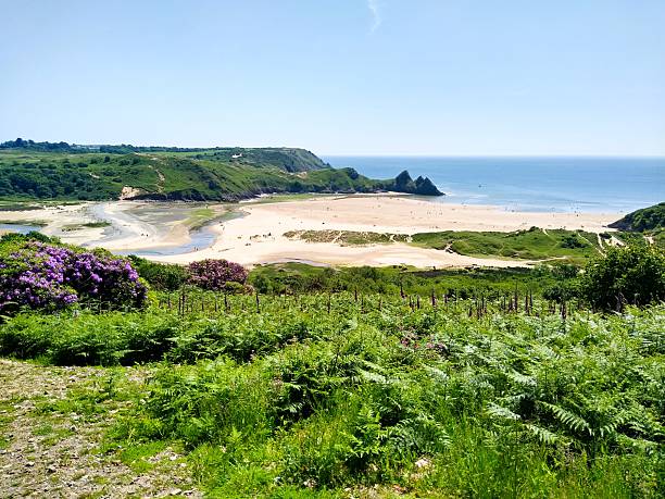 Three Cliffs Bay Panoramic View from Hilltop in Summer – Scenic Welsh Coastline Landscape