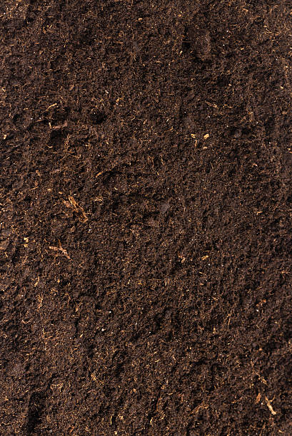 istock Soil for plant isolated on white background. 2228342235