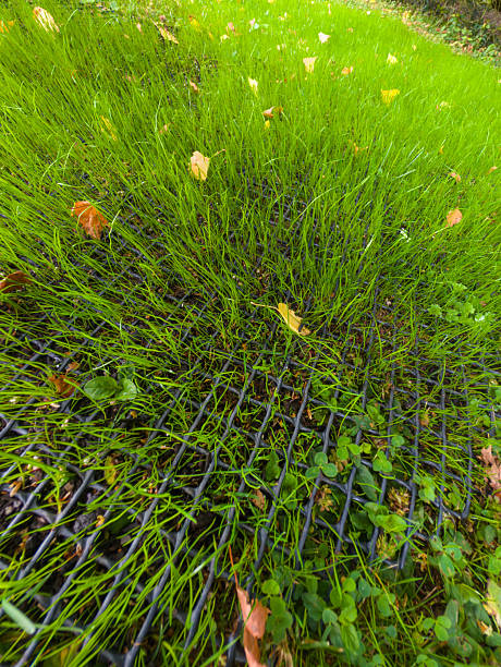 istock Young, green blades of grass grow through the open plastic grid, which prevents a robotic lawnmower from slipping down the slope 2228343183