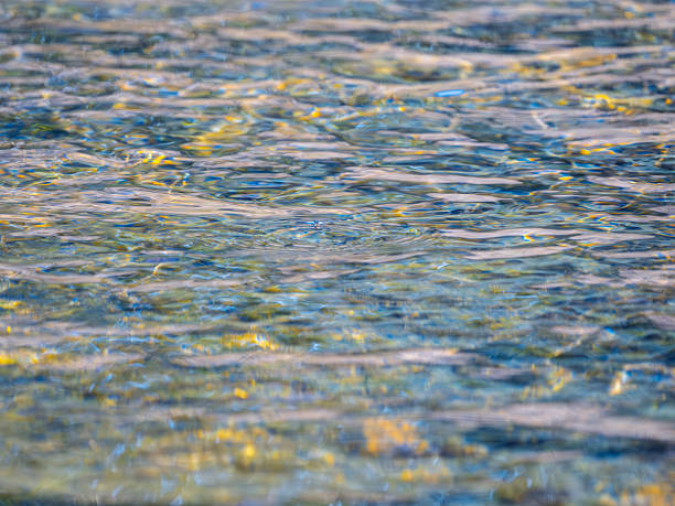 Colorful abstract full frame of a river water surface reflecting vegetation