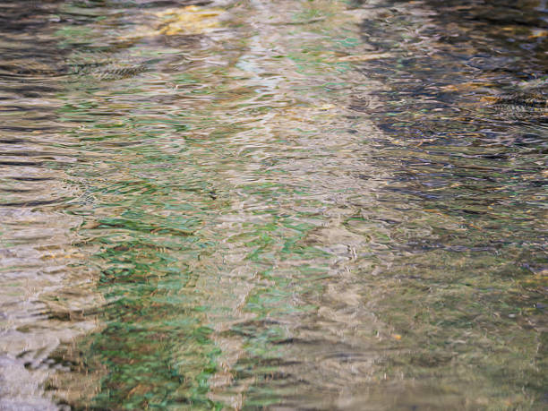 Colorful abstract full frame of a river water surface reflecting vegetation