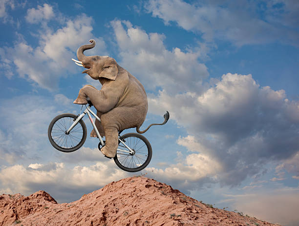 istock Conceptual image of elephant riding bicycle on mountain top 2228350488