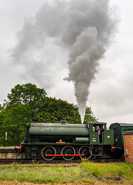 Old steam train with smoke coming from the chimney driving through the countryside. The black and red locomotive is pulling freight carts through a forest.