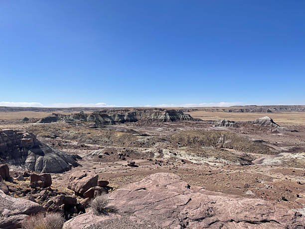 istock Blue Mesa Trail at Petrified Forest National Park, Arizona 2228356145