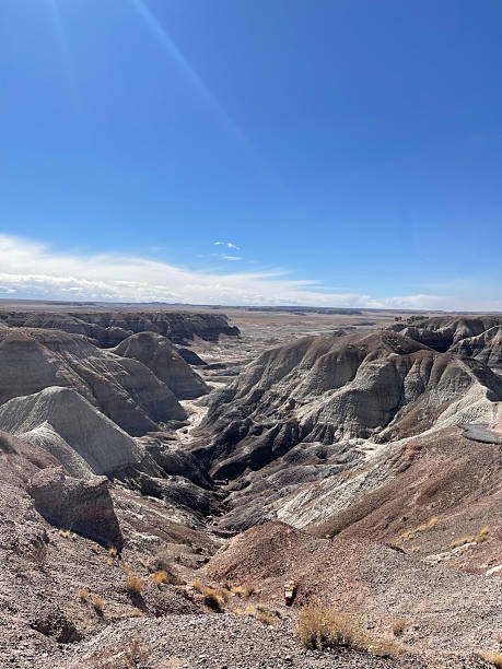 istock Blue Mesa Trail at Petrified Forest National Park, Arizona 2228357902
