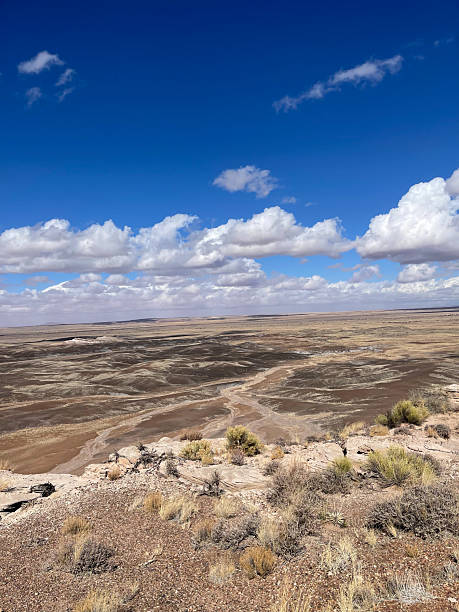 istock Blue Mesa Trail at Petrified Forest National Park, Arizona 2228357974
