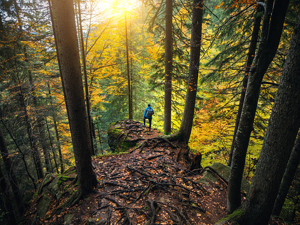 Man standing on the edge of the rock, looking down on a river in a colorful autumn forest.