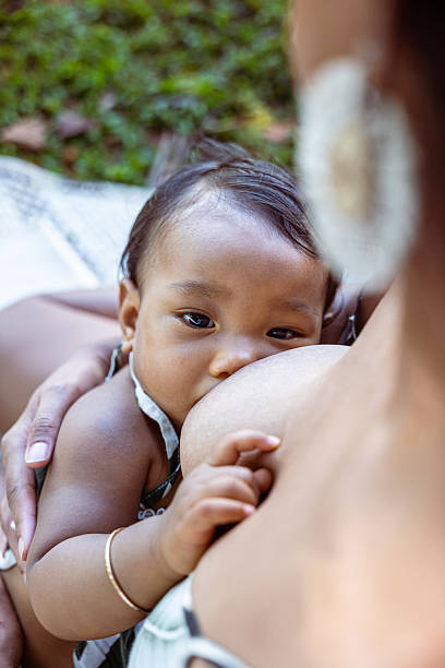 A close-up, intimate view of a Pacific Islander baby girl breastfeeding while resting in her mother’s arms on a picnic blanket at the park.