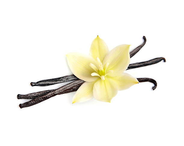 istock Vailla stick with flower vanilla 2228374919