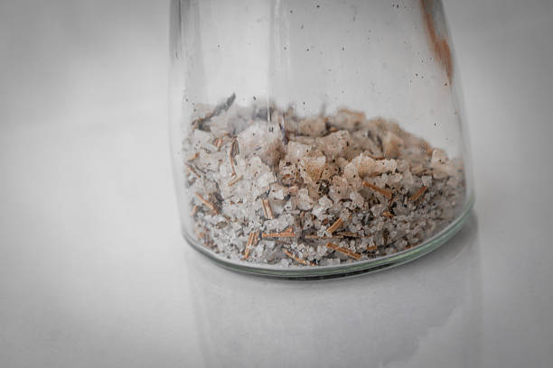 Coarse sea salt inside a salt grinder, ready to season dishes