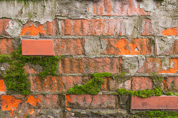 istock Old brick wall with moss and peeling paint. 2228375846