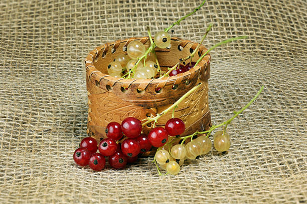 A wooden basket filled with red and white currants on a burlap background. The currants are fresh and vibrant, showcasing their natural colors.