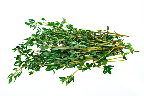 istock Bunch of thyme herb - white background 2228380096