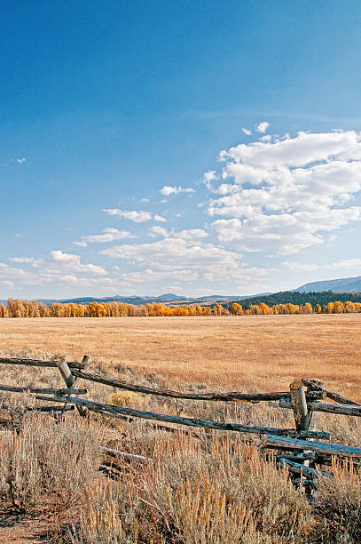 Split-rail Fence and Aspens in Grand Teton NP
