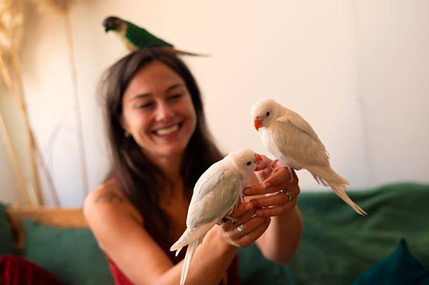 istock Young happy woman playing with her parakeets 2228381263