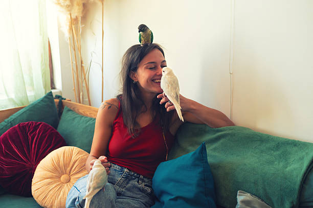istock Young happy woman playing with her parakeets 2228381271