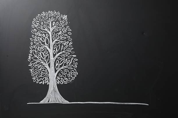 Beautiful drawing of tree on black chalkboard. Space for text