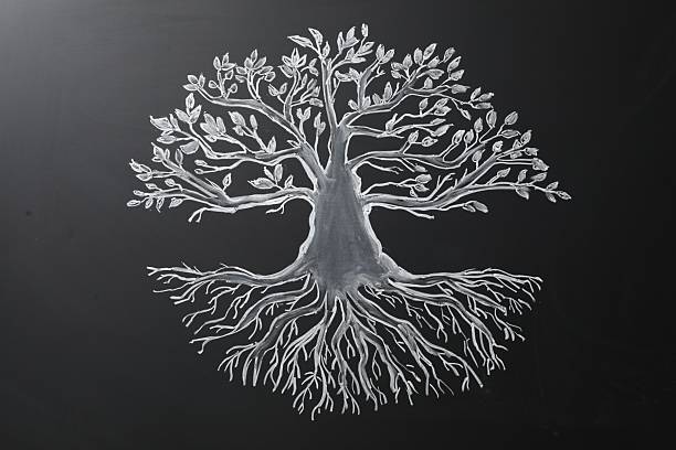 Beautiful drawing of tree on black chalkboard