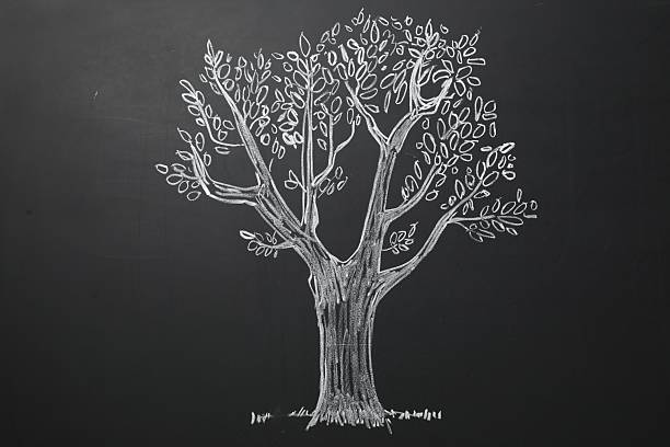 Beautiful drawing of tree on black chalkboard