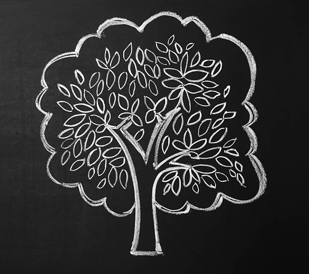 istock Beautiful drawing of tree on black chalkboard 2228381463