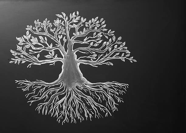 Beautiful drawing of tree on black chalkboard