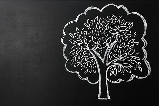 Beautiful drawing of tree on black chalkboard