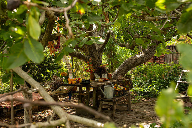 istock Rustic thanksgiving gathering under sprawling tree in countryside farmhouse during autumn harvest season with vibrant colors and seasonal decorations 2228383458