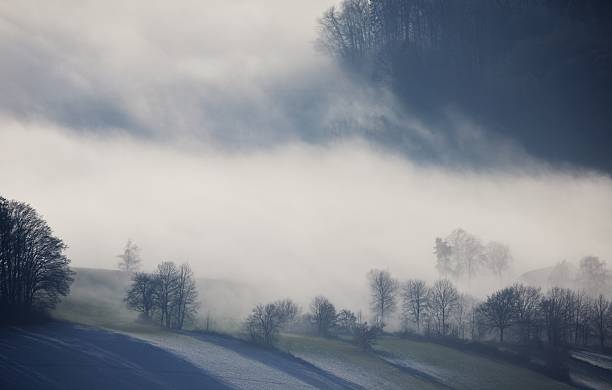 istock Misty landscape with trees and hills. 2228386095