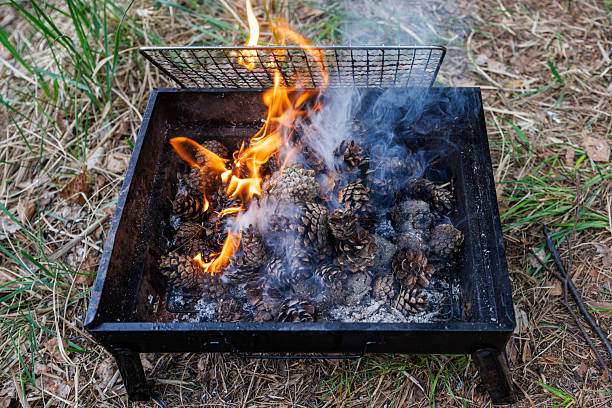 Burning pine cones in a grill as firewood. Burning coals for a grill. High quality photo