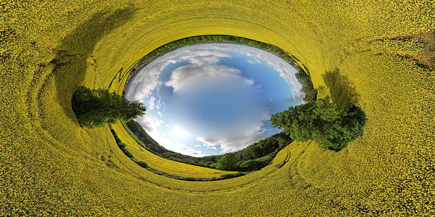 istock Surreal circular canola field landscape 2228390303