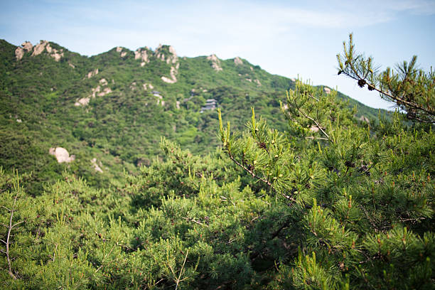Bukhansan National Park, Dobongsan Mountain Seoul Korea 서울 북한산 국립공원 도봉산
