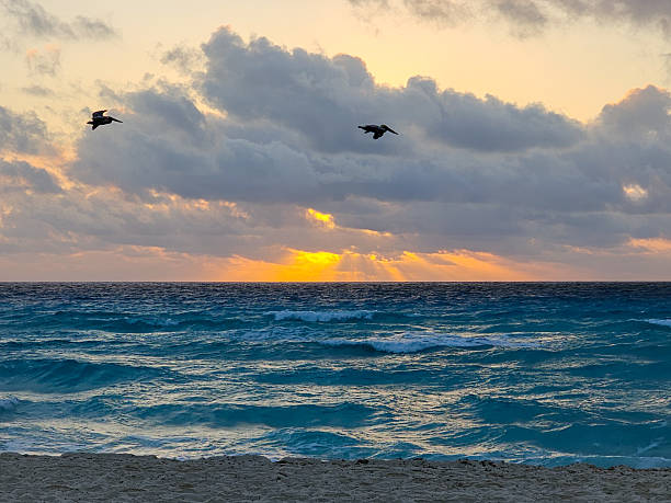istock Sunrise on a beautiful beach in Cancun 2228393031