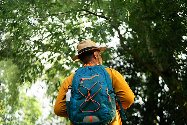Hiker with a backpack explores a vibrant forest, seeking solace and connection with nature to enhance mental health and overall well-being