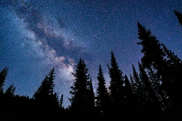 istock Milky Way Over Alpine Forest at Night 2228400061