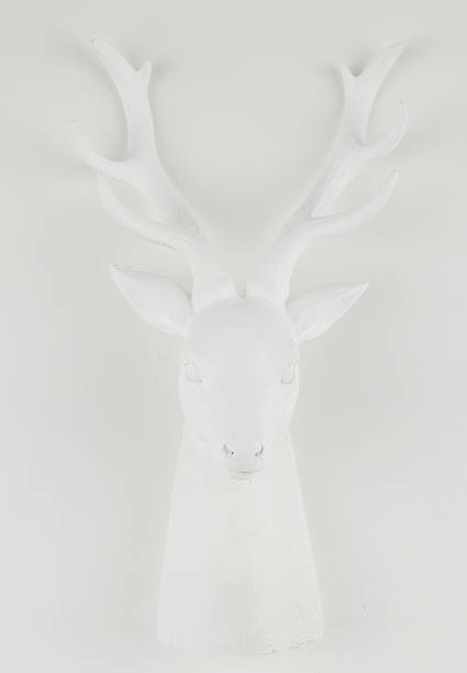 istock white wooden deer head isolated nature background with clipping path 2228403230