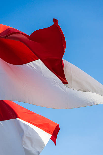 istock Several red and white flags, Indonesia's national flag, flutter in the wind, against a blue sky, celebrating the proclamation of independence on August 17. 2228406088