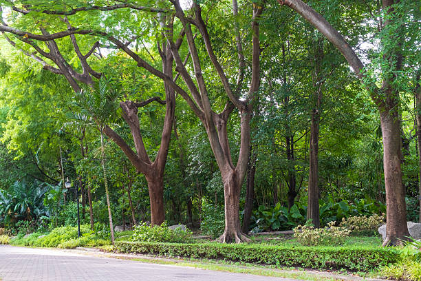 istock Park in city with green trees and pathway in summer. 2228408255