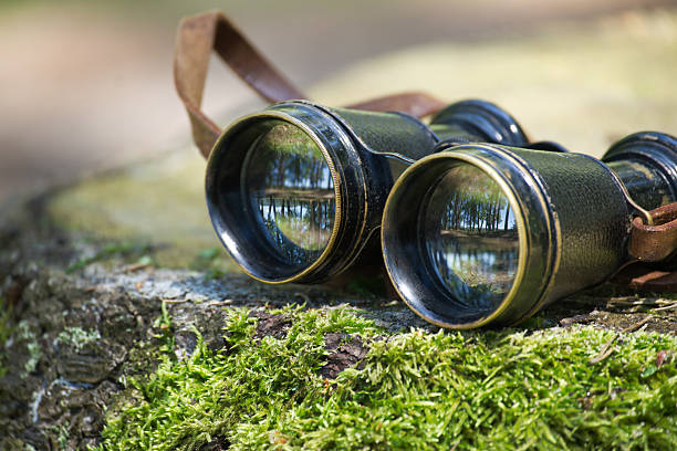 istock Old binoculars offer a unique perspective on nature's serene beauty. 2228408944