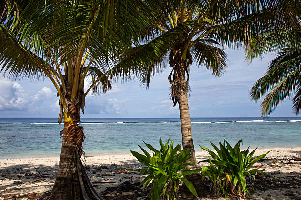 Coastal stone building with palm trees on a Hawaiin coast under a cloudy sky, on a sunny day with torquoise water