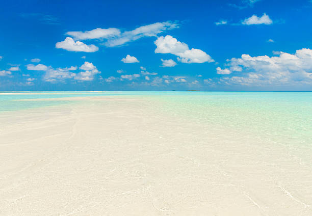 istock tropical beach in Maldives 2228411350