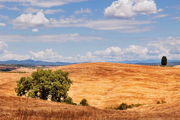 Tuscan territory  near Asciano in summer after harvesting   ideal destination  for those seeking tranquillity or discover medieval towns