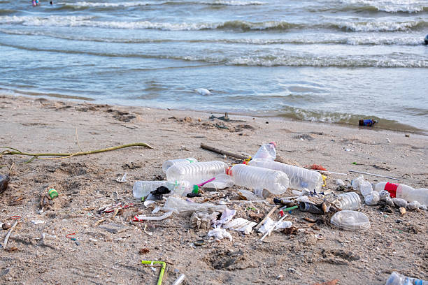 istock Dirty sea sandy shore ,Environmental pollution,Plastic water bottles pollution in ocean (Marine debris) 2228413946